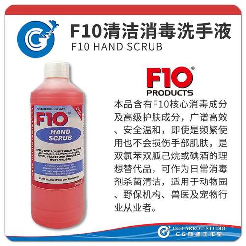 F10清洁消毒洗手液即用装 广谱高效安全温和不伤皮肤500mlCG 26-3