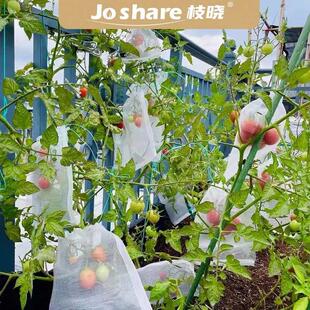 番茄架瓜藤架茄子架支撑架葡萄藤架子小番茄支架苦瓜楼顶菜园架子