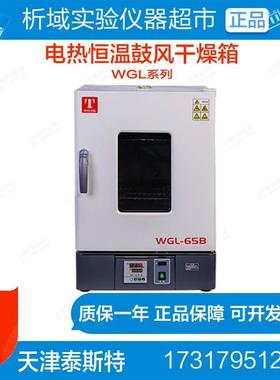 天津泰斯特WGL-30B/65/125/230/B/BE电热鼓风干燥箱WGLL-45B
