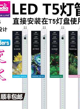英国阿卡迪亚T5HO灯管水族海水珊瑚缸高亮蓝白斐济荧光紫节能LED