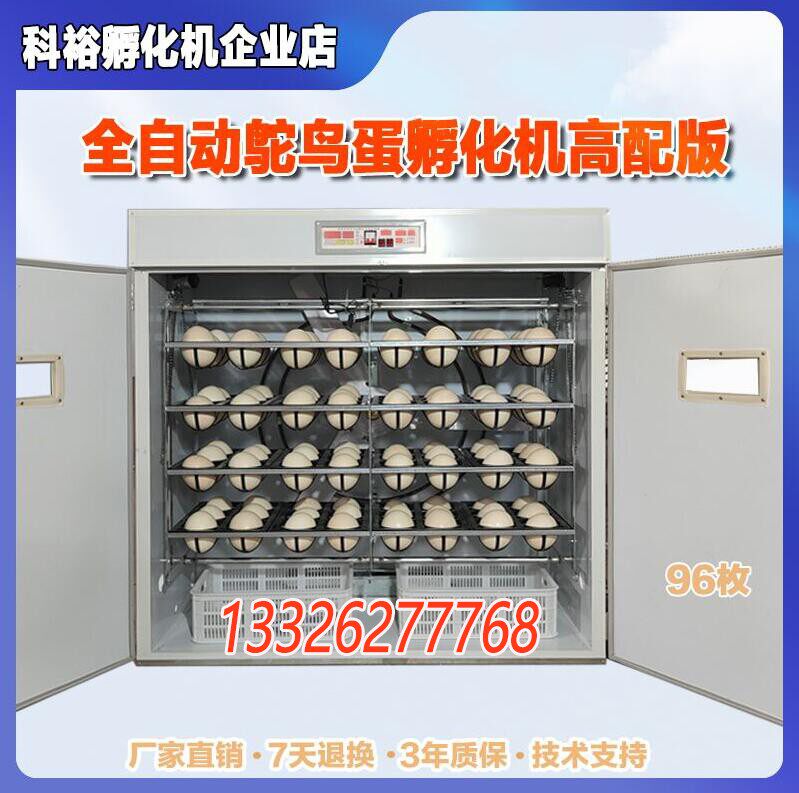 科裕全自动鸵鸟蛋孵化机鸸鹋蛋孵化机家用鸵鸟蛋专用智能卵化器