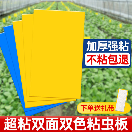 粘虫板黄板双面诱虫纸贴