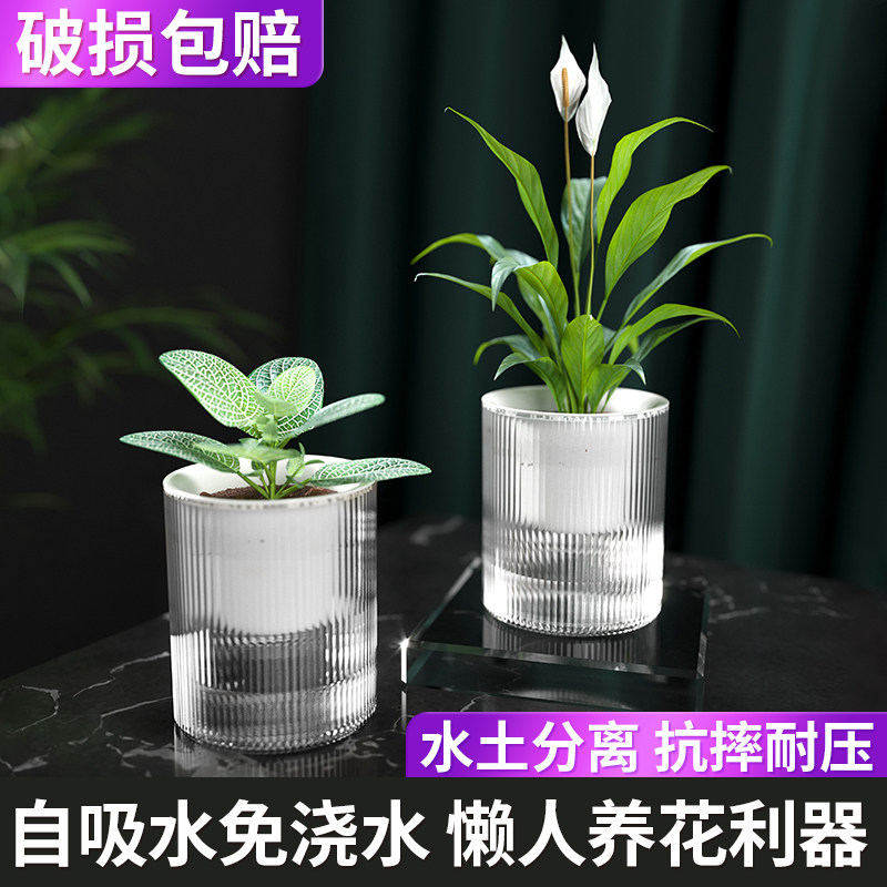 懒人花盆自动吸水北欧绿萝植物盆栽设计感透明水培塑料水养盆器小