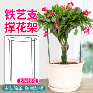 花架铁艺爬藤架支撑杆蟹爪兰专用支架绣球月季 攀爬架防倒伏园艺架