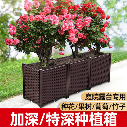 露台庭院塑料竹子加深户外种菜