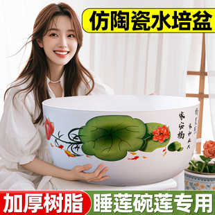 碗莲专用盆睡莲盆缸荷花莲花金钱草水培花盆塑料树脂仿陶瓷铜钱草