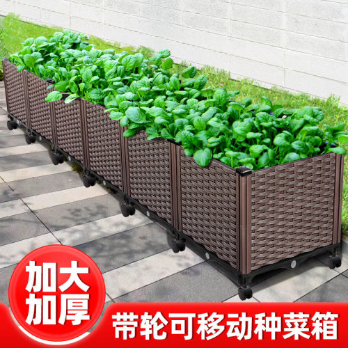 简约塑料阳台种菜蔬菜种植花盆