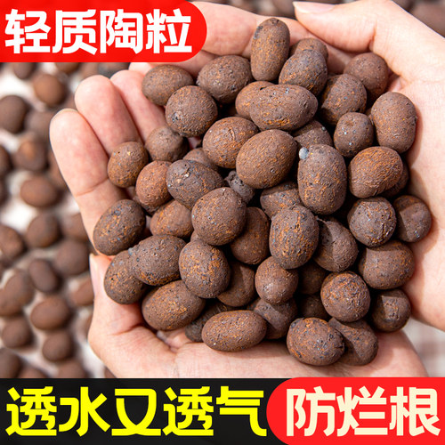 多肉铺面石水培园艺盆栽