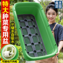 种菜神器种植箱特大长条方形屋楼顶户外蔬家庭阳台专用加深宽花盆