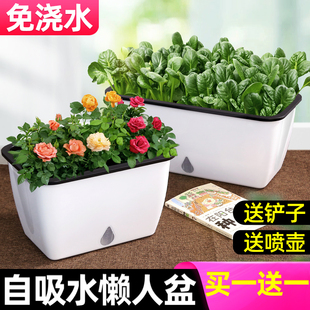 懒人花盆自动吸水种菜神器家庭阳台长方形塑料箱种植蔬菜盆栽专用