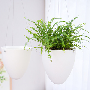 塑料垂吊吊篮花盆吊兰盆悬挂壁挂式 吊篮绿萝吊篮盆栽小吊篮多肉盆