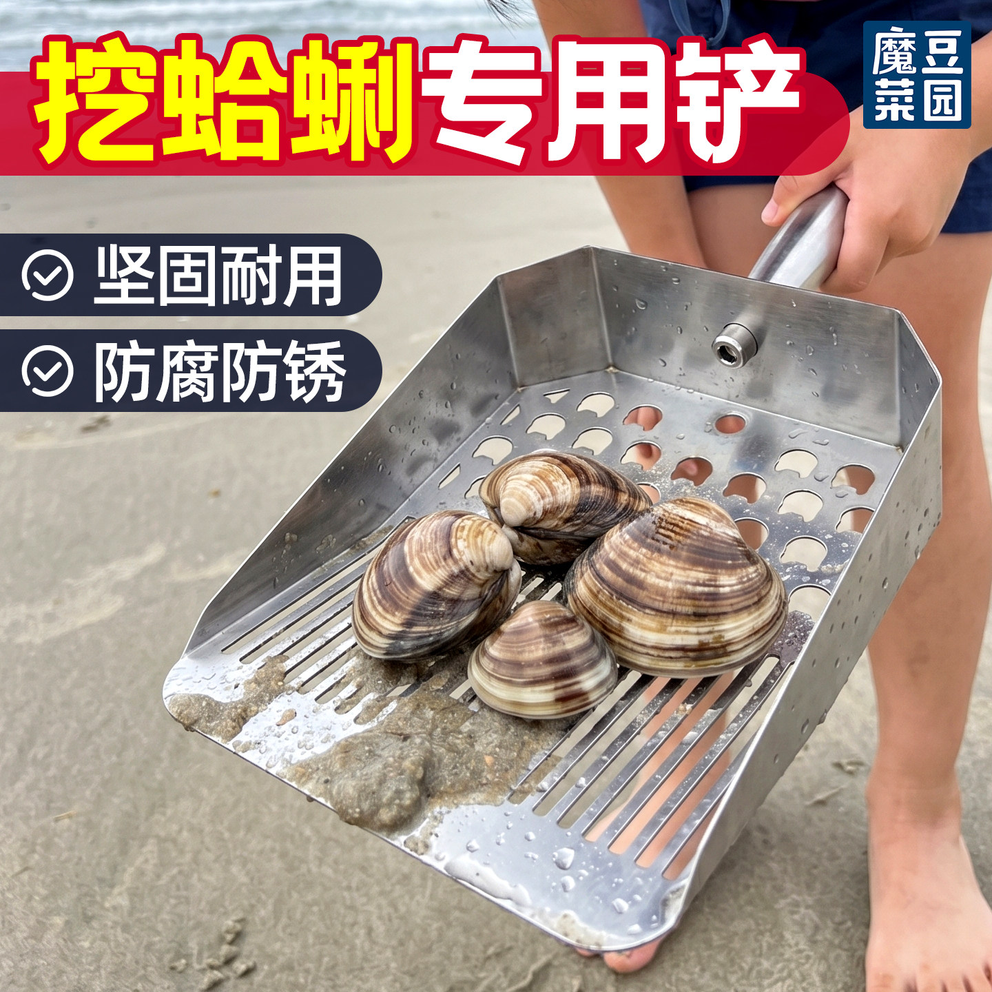 不锈钢挖蛤蜊专用铲赶海神器图片