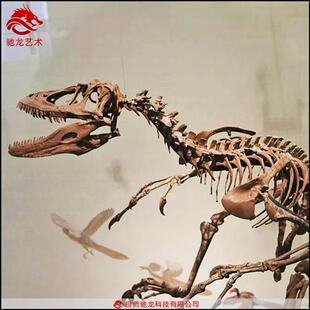 仿真迅猛龙恐爪龙盗龙化石大型恐龙骨架树脂动物骨骼标本模型美陈