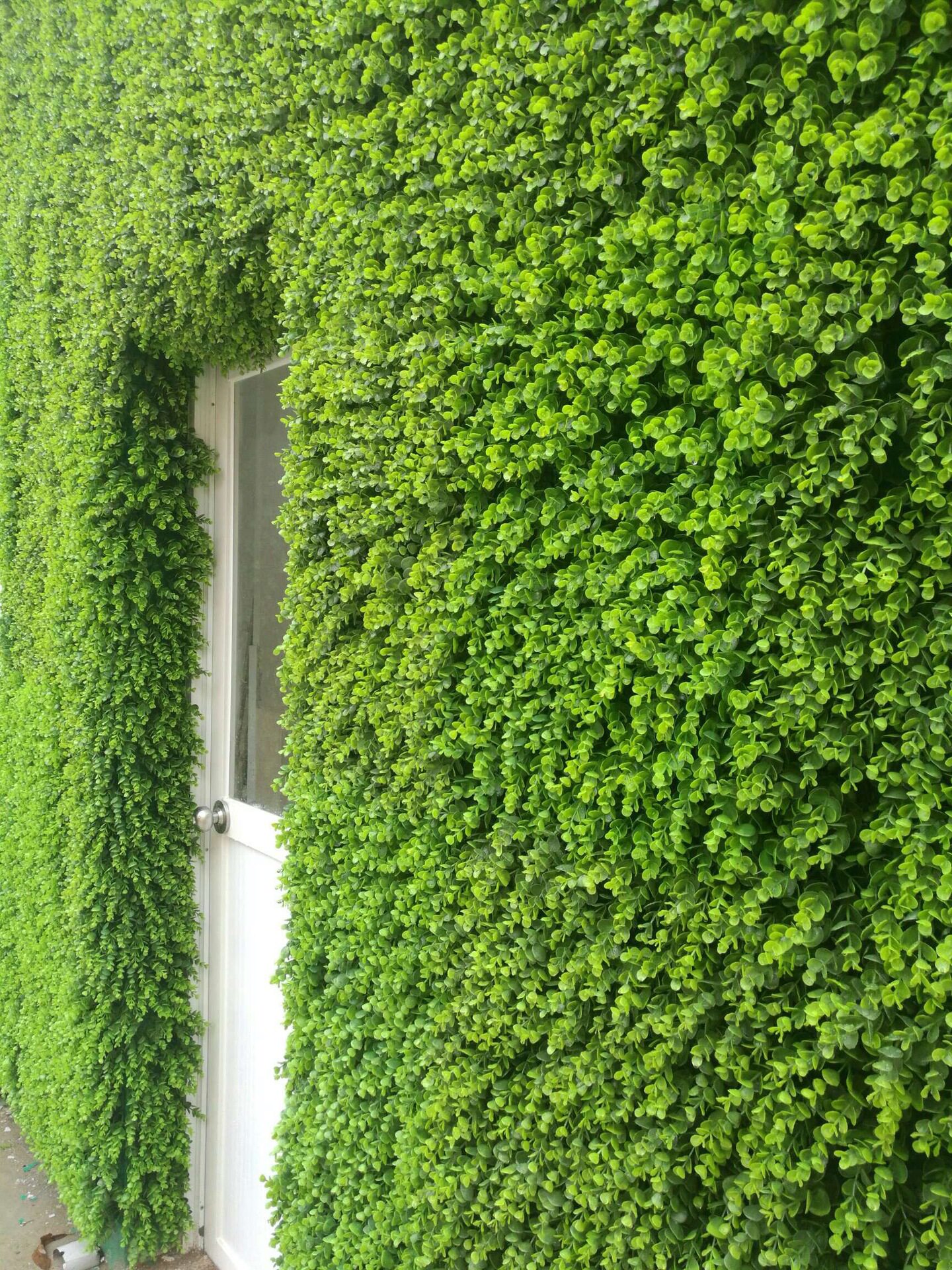 外墙仿真植物 室外仿真植物墙 人造绿植墙装饰 抗紫外线假植物墙
