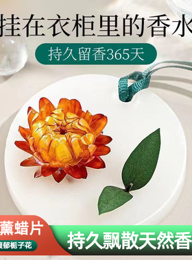 衣柜香薰室内卫生间防虫清香蜡片挂衣柜香薰衣橱鞋柜持久去味除臭