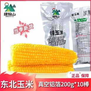 绿牧山糯玉米玉米新鲜10根 正品 200g东北粘玉米黏玉米棒真空包装