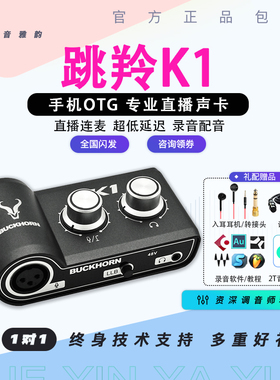 Buckhorn跳羚k1声卡网红直播k歌手机电脑通用外置USB声卡主播专用