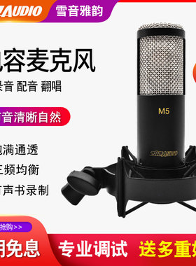 北京797 M5专业录音电容麦克风CV直播K歌配音专用话筒吉他弹唱套