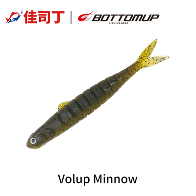 川村光大郎bottomup叉尾鱼