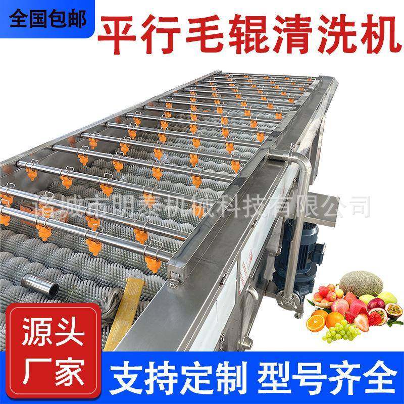 商用水果平行毛辊清洗机百香果人参果清洗设备生蚝海螺去泥机器,厨房电器,其他商用厨电,淘宝优惠券,粉丝福利购,淘宝优惠卷