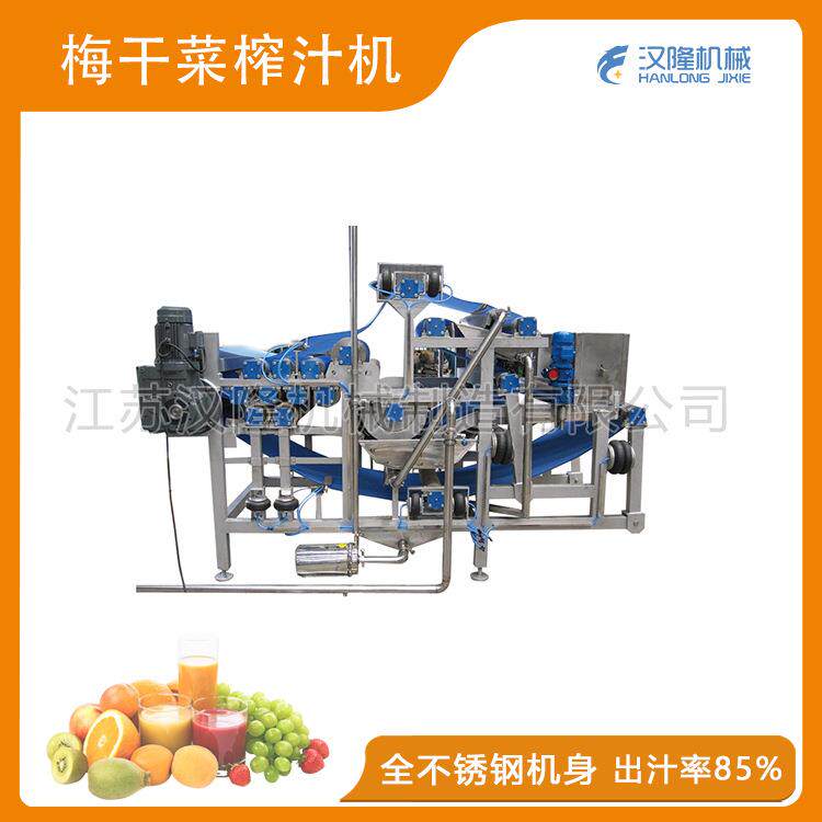 厂家直销大型工业果蔬商用梅干菜苹果石榴青苗豆腐榨菜带式榨汁机