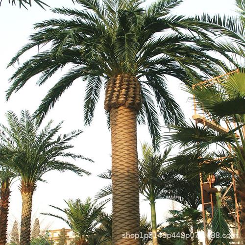仿真海藻树海枣树室外造景仿真棕榈树造景椰子树主题公园造景假树