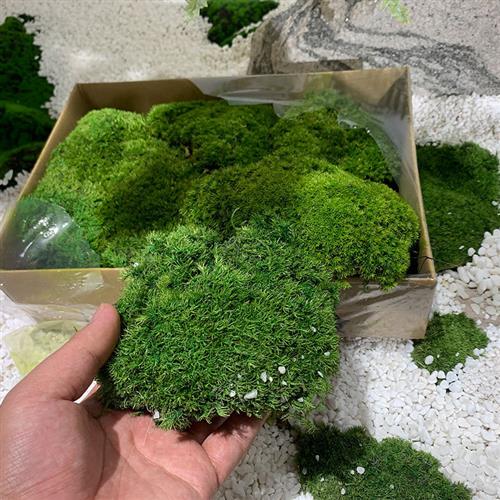 仿真松树迎客松罗汉松假松树商场酒店装饰新中式造景玄关造景摆件