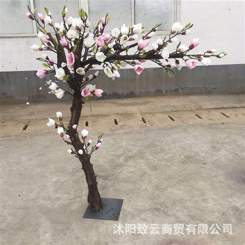 仿真玉兰树玉兰花树紫花白花玉兰盆景植物假树规格齐全免费设计