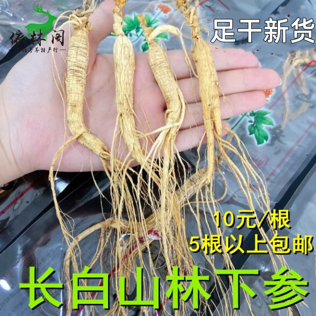 林下参5根包邮长白山林下参人参