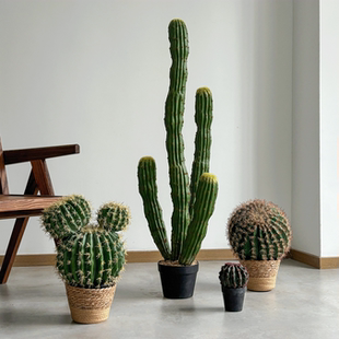 仿真大型摩洛哥仙人掌造景仙人柱盆栽沙生植物室外假绿植装饰摆件