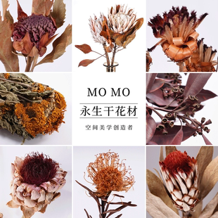 永生帝王花天然植物插花束装饰样板间婚庆装饰节日客厅摆件霸王花