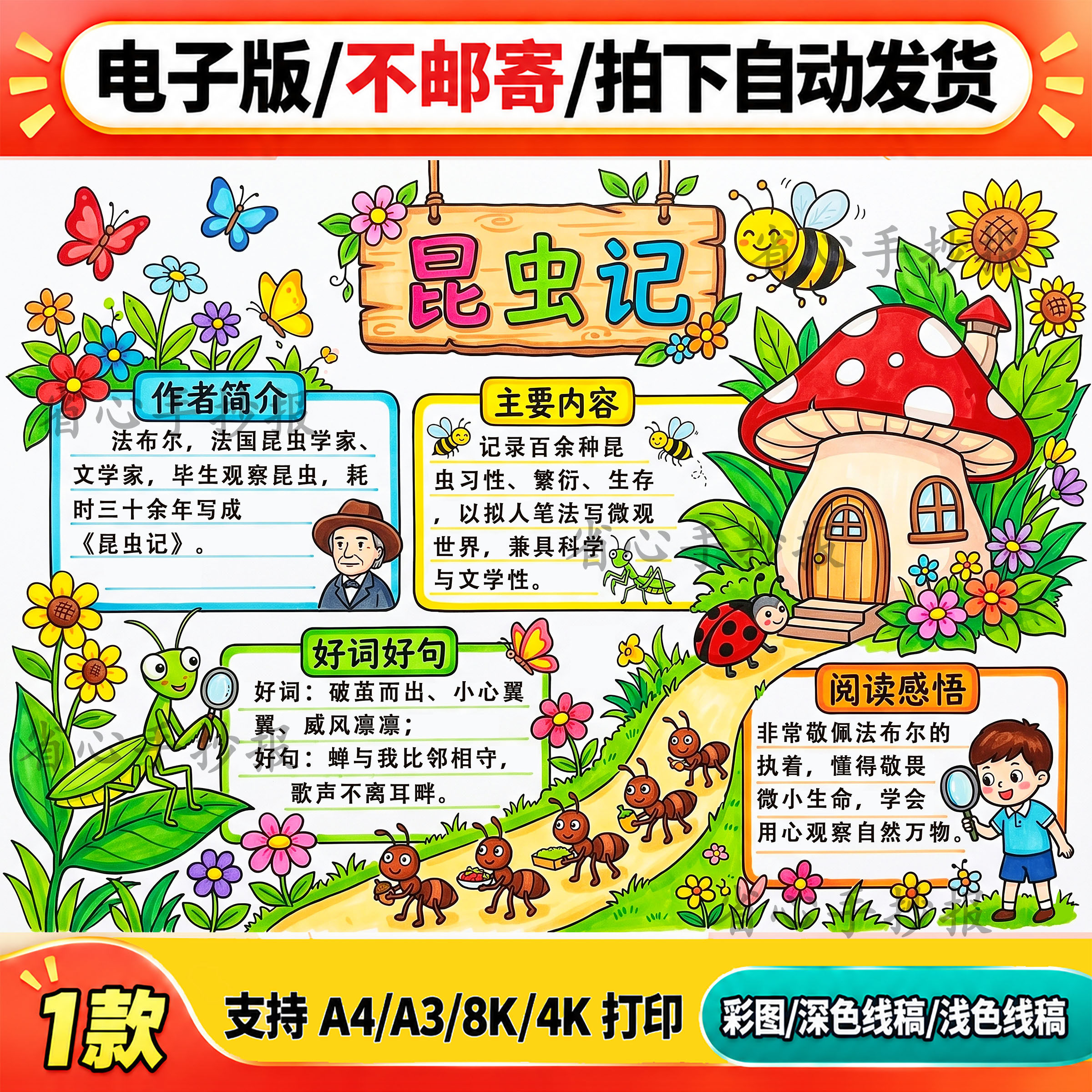 昆虫记手抄报模板电子版A4A3小学生卡通彩色线稿素材可打印