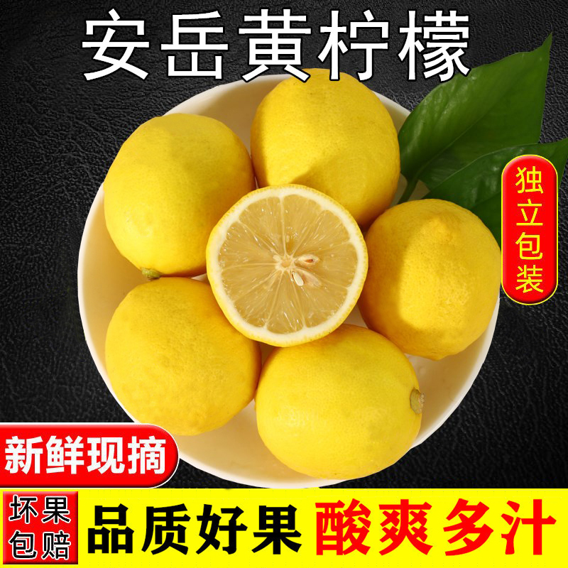 四川安岳黄柠檬6斤新鲜水果包邮精选皮薄鲜柠檬特产整箱奶茶10|msdalam kategori daging perikanan/Buah-buahan segar dan sayur-sayuran/dimasak, buah-buahan segar, Lemon - dari Buy2taobao.com untuk memberikan perkhidmatan ejen Taobao profesional membeli