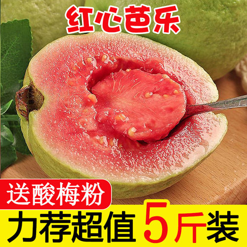 福建红心芭乐水果新鲜包邮软心低糖软红心番石榴软糯熟清甜巴乐果
