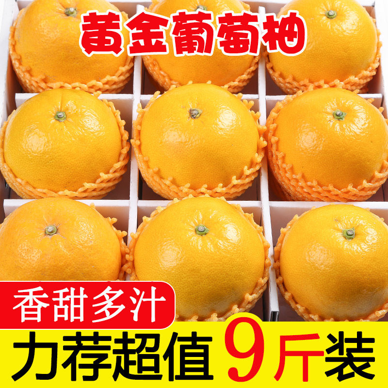 黄金葡萄柚爆汁香甜,现摘包邮