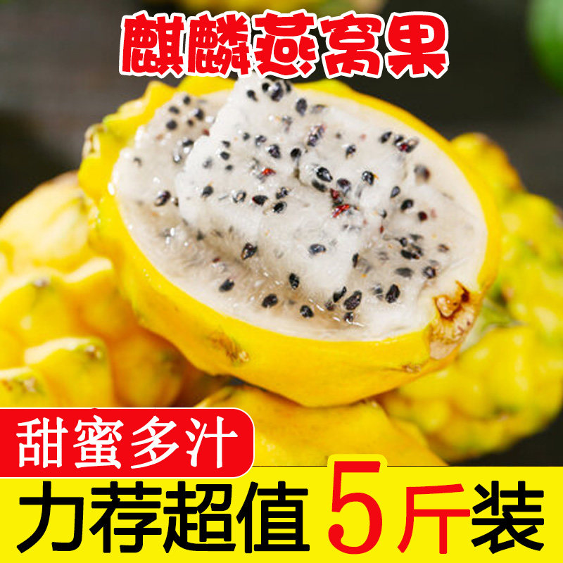 正宗新鲜麒麟燕窝果当季黄皮白心火龙果热带特产新鲜水果海南包邮