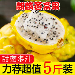 正宗新鲜麒麟燕窝果当季黄皮白心火龙果热带特产新鲜水果海南包邮