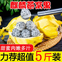 正宗新鲜麒麟燕窝果当季黄皮白心火龙果热带海南特产水果福建包邮