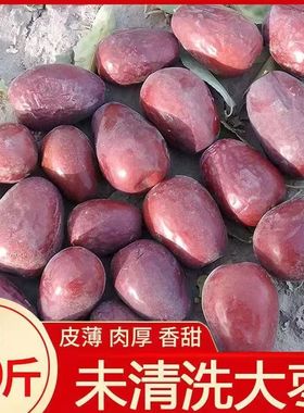 25年新枣未清洗新疆红枣特级和田大枣特大土枣自然吊干枣一级骏枣