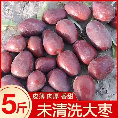 佳洲2025年新货未清洗和田大枣