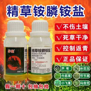 快速除草剂精草铵磷除草烂根剂果园杂草专用除草 精草铵膦铵盐正品