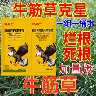 牛筋草专杀果园杂草小飞蓬除草烂根剂精草铵膦铵盐强力除草剂农药