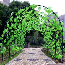 长方形蔬菜设计拱门花架靠墙户外置地式大型拱形花房简约攀爬院子