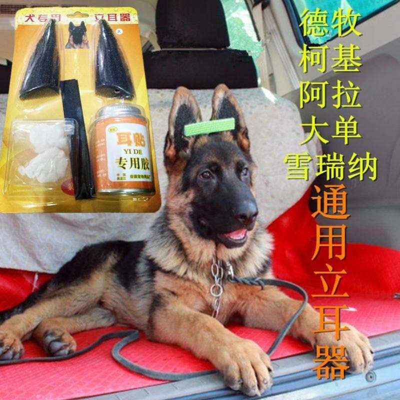立耳器狗耳朵狗狗小型支架固定宠物犬耳夹大小型矫正器耳托大型犬