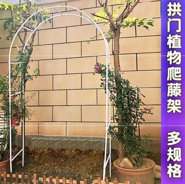 家用葡萄架子室外花格弧形花藤简易铝制铁艺结婚网格爬藤架浪漫钢