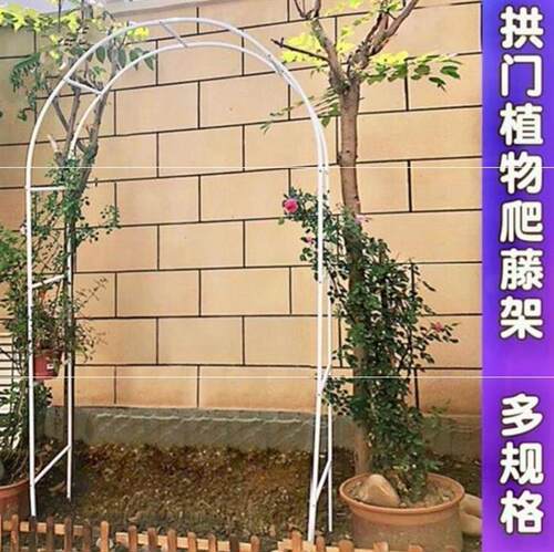 家用葡萄架子室外花格弧形花藤简易铝制铁艺结婚网格爬藤架浪漫钢