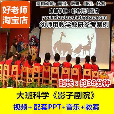幼师用好老师幼儿园教研参考公开课光影关系大班科学《影子剧院》