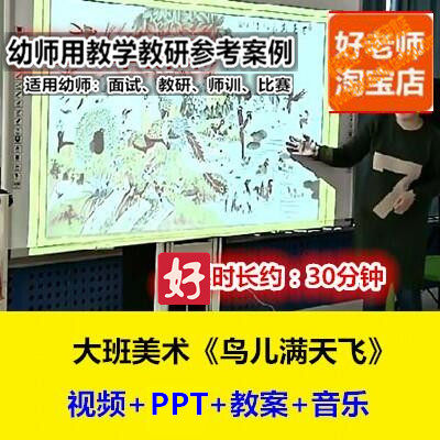 好老师幼儿园大班美术《鸟儿满天飞》中国风幼师教研优质公开课