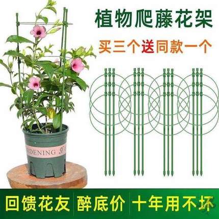 爬藤花架园艺支柱架阳台绿萝月季铁线莲藤本植物攀爬蟹爪兰支撑杆