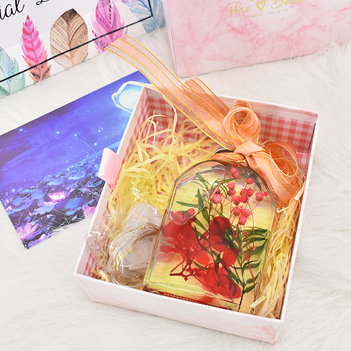 浮游花瓶植物标本室内装饰永生